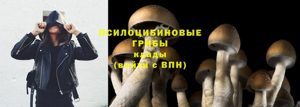 герыч Абаза