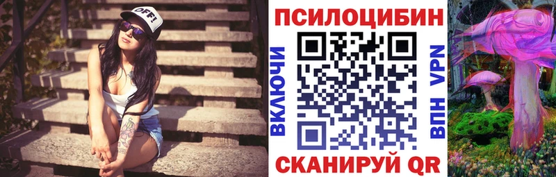Псилоцибиновые грибы мицелий  omg как войти  Кораблино  где можно купить наркотик 